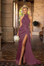 Aricia